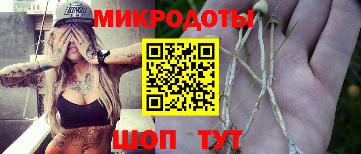 цена   Галлюциногенные грибы Cubensis  Вход с VPN  Оренбург 